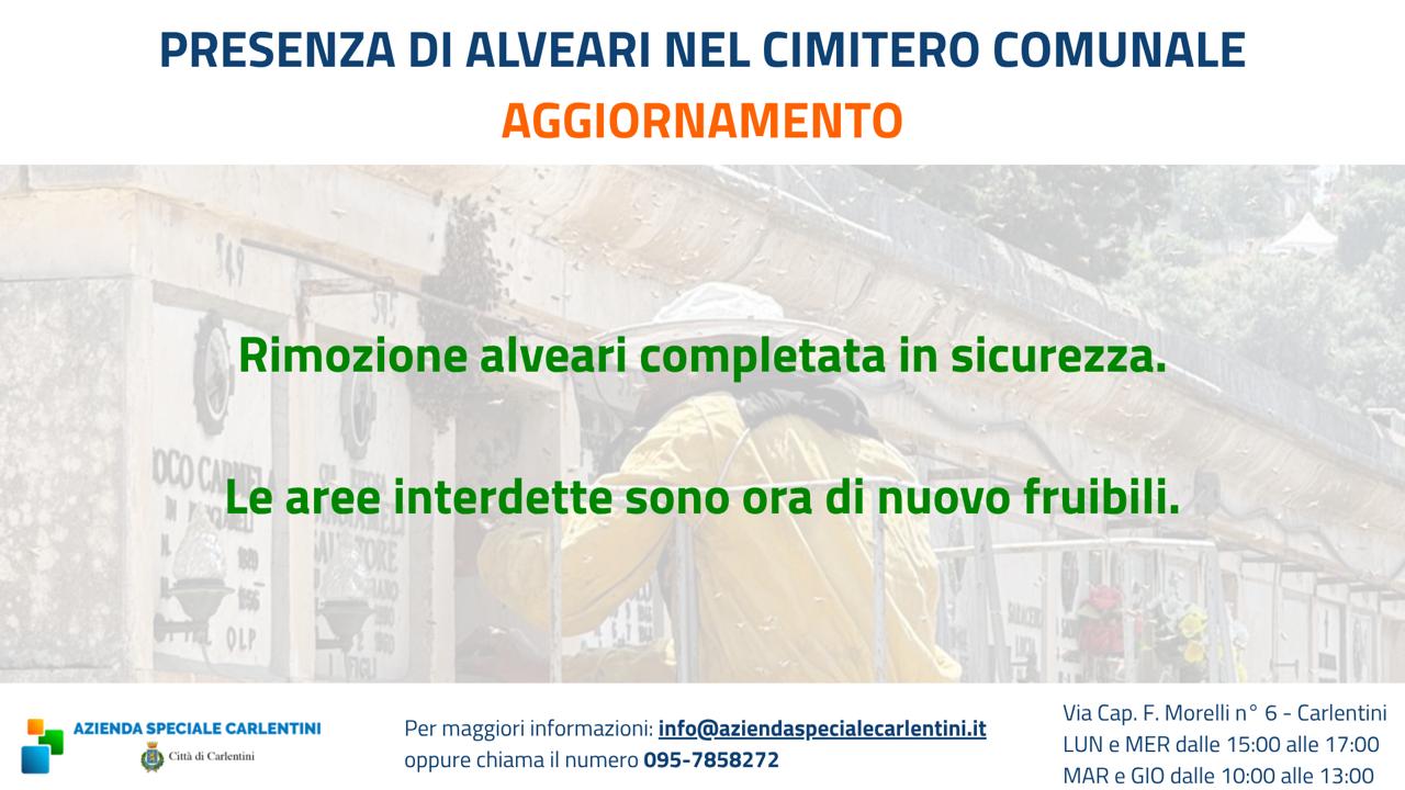 Intervento alveare cimitero